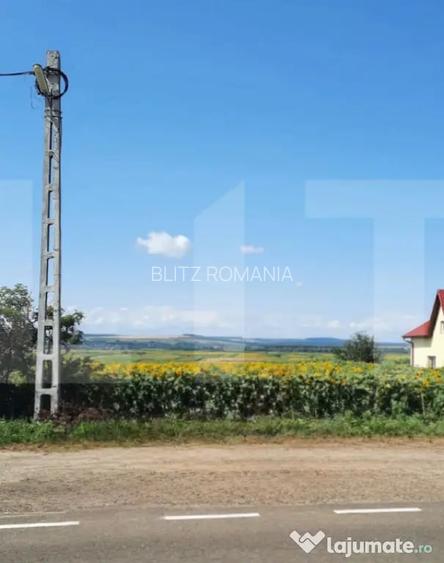 Teren extravilan , 8367mp-Zona Bucecea+alte 2 loturi 1118mp - Bucecea (Botosani)