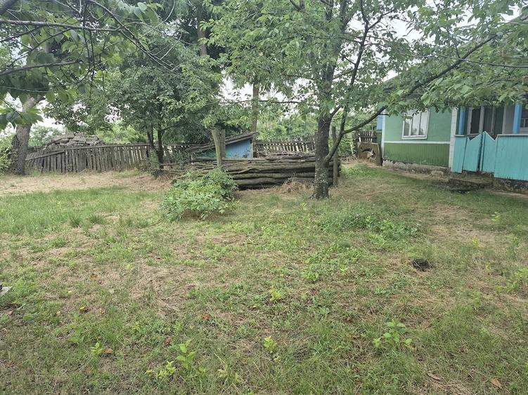 Casă cu Teren 10000 Mp în Durnești