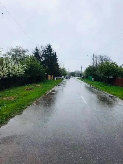 Teren de 7700 mp, în Letca Veche