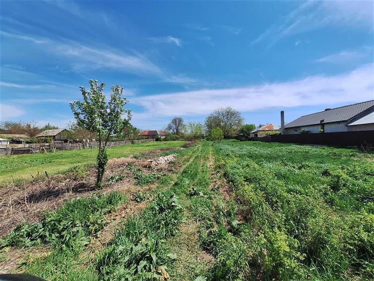 Teren Construcții intravilan de 1180 mp, în 9 Mai