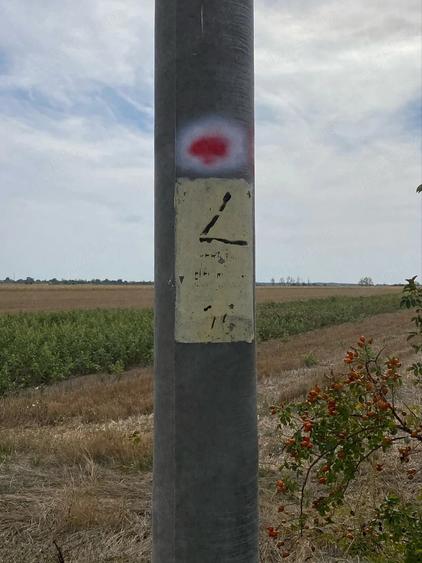 Teren de 15000 mp, în Fierbinți
