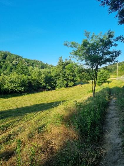 De vanzare proprietate deosebita in judetul Bihor Comuna Orvisele - 1