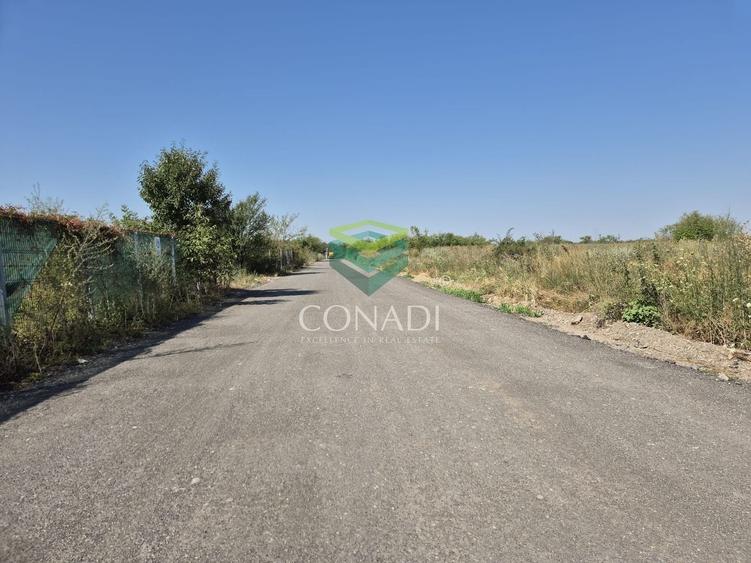 Teren Construcții intravilan de 10000 mp, în Nord