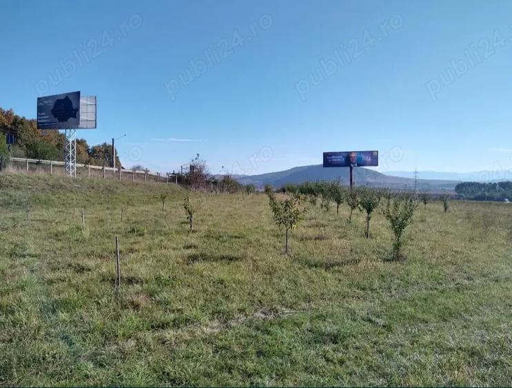 Teren de 12300 mp, în Crainimăt