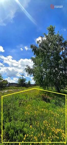 Teren de 135 mp, în Albac