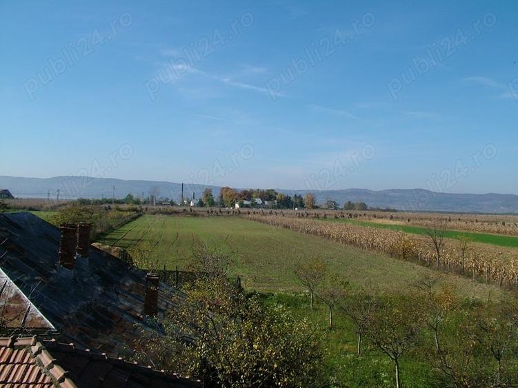 Teren de 8000 mp, în Drăgoești