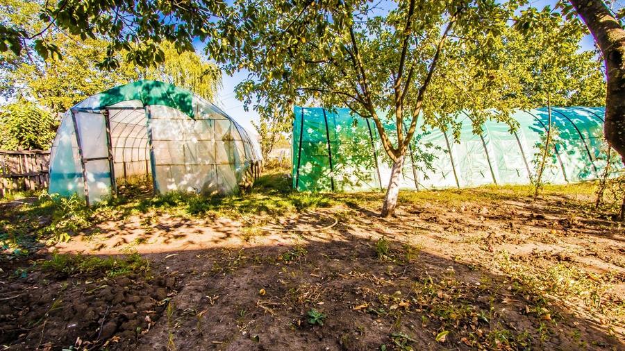 Casă individuală cu 7 camere cu Canalizare în Islaz
