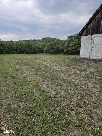 Casa de renovat + 2.900 mp teren, front 38 m potential constructie - 6