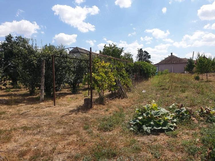 Casă cu 2 camere cu Teren 1500 Mp în Central