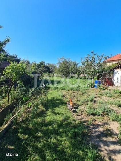 Casă cu 8 camere cu Teren 1260 Mp în Sebeș