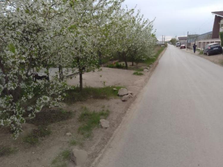 Teren intravilan de 2000 mp, în Central