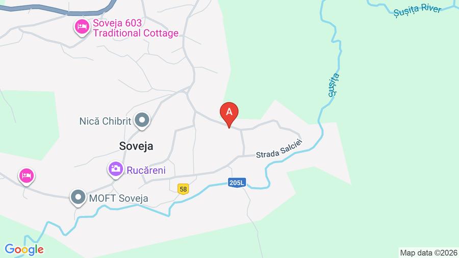 Teren agricol extravilan de 184 mp, în Soveja
