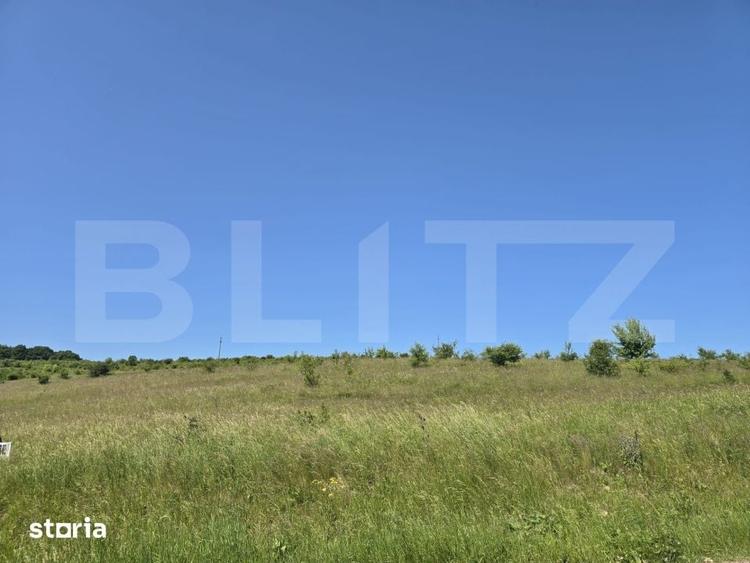 Teren de 1200 mp, în Ciurila