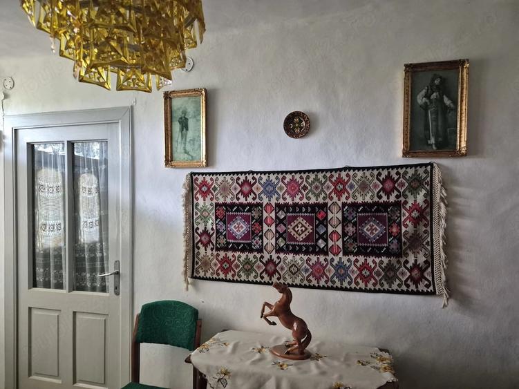 Casă cu Teren 5867 Mp în Vârlezi