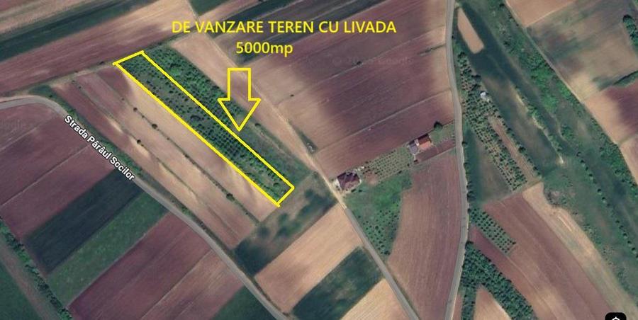 Teren agricol extravilan de 5000 mp, în Șura Mare