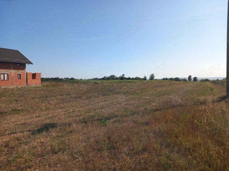 Teren de 9000 mp, în Lămășeni