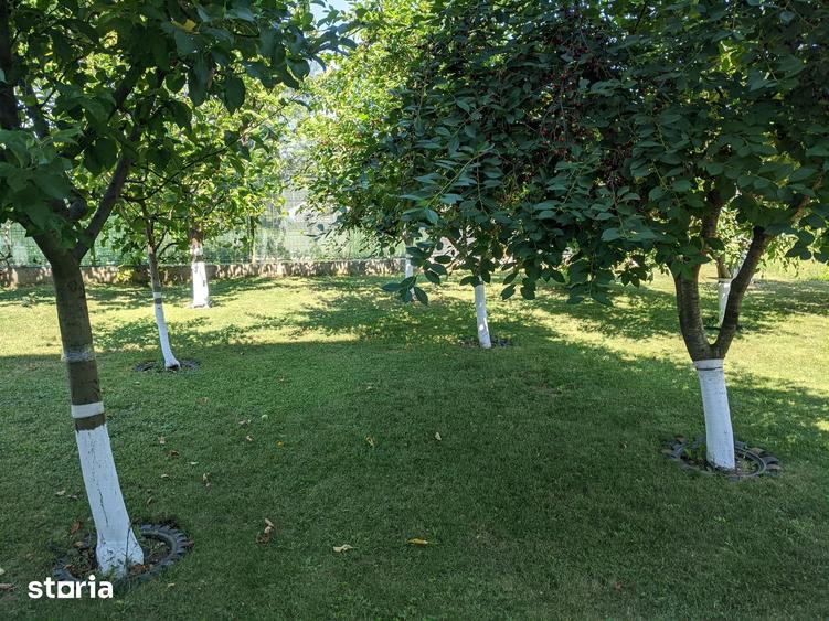 Garsonieră în Central