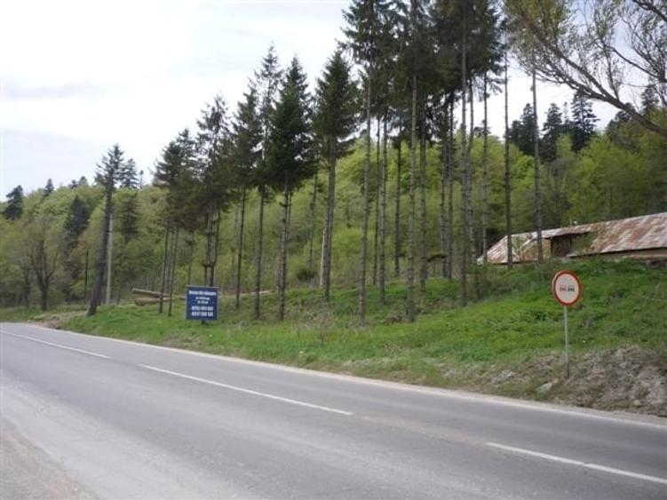 Teren Construcții intravilan de 3450 mp, în Bușteni
