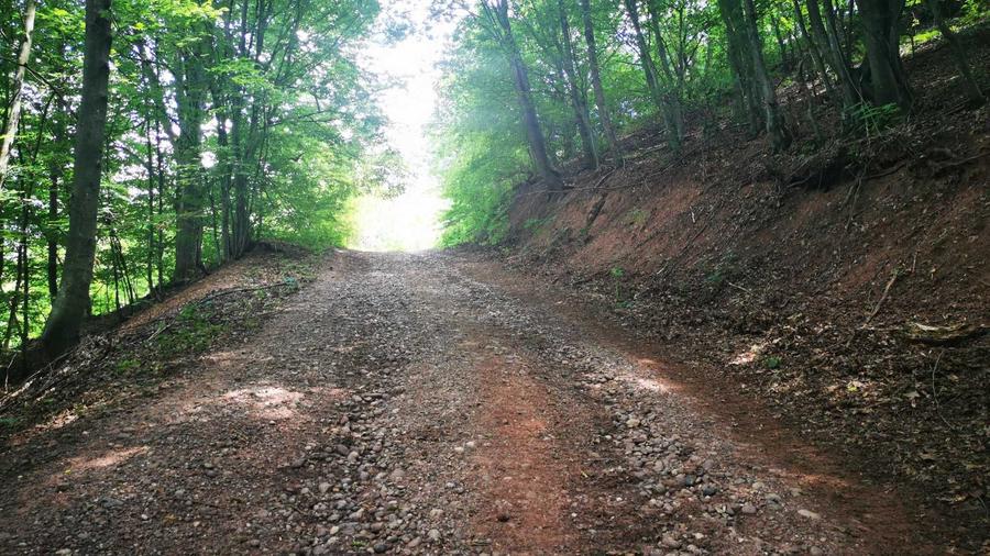 Teren de 42500 mp, în Barbura