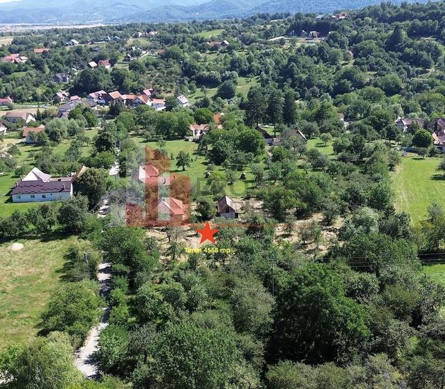Teren Construcții intravilan de 4558 mp, în Bran