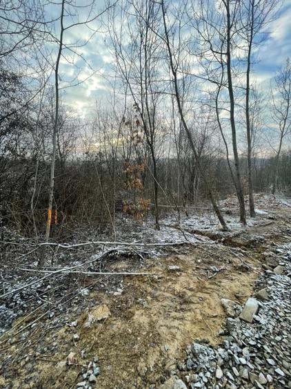 Teren Construcții intravilan de 868 mp, în Tăuții-Măgherăuș
