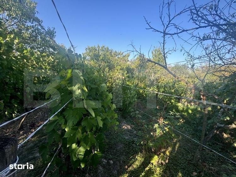 Casă cu 2 camere cu Teren 1021 Mp în Viile Satu Mare