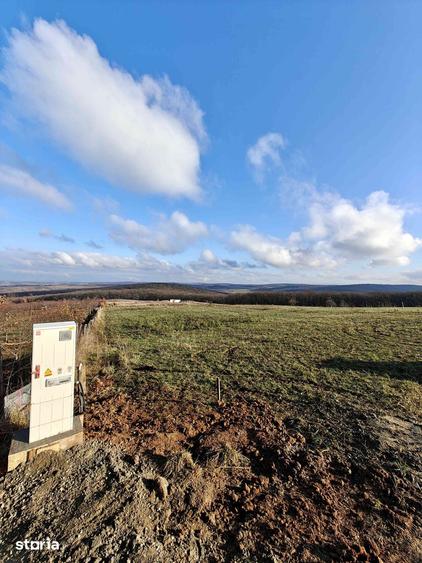 Teren de 3000 mp, în Nord