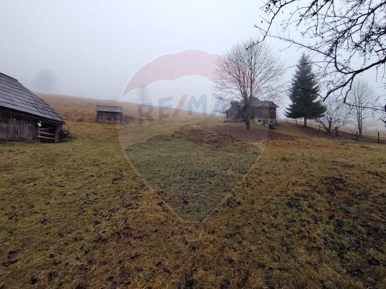 Teren Construcții intravilan de 26238 mp, în Dorna-Arini