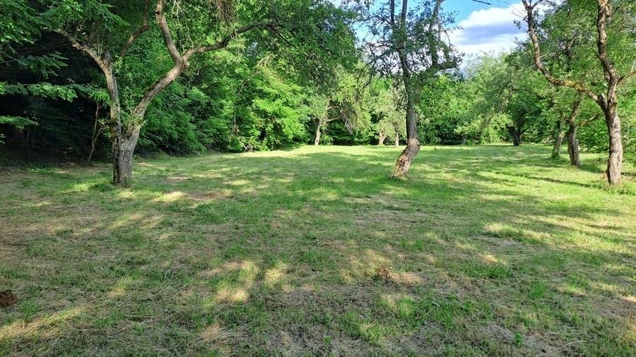 Teren de 3700 mp, în Porumbacu de Sus
