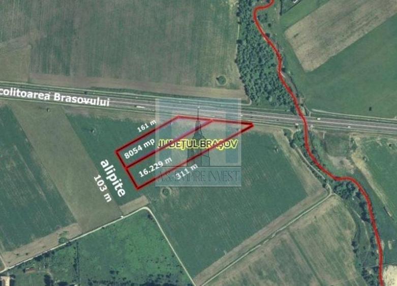 Teren Construcții intravilan de 24283 mp, în Rulmentul