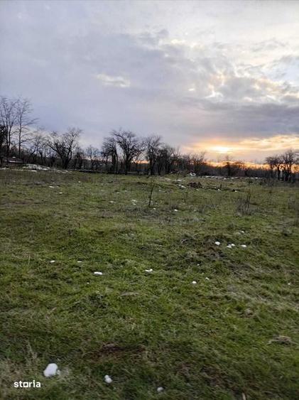 Teren de 1683 mp, în Stănești