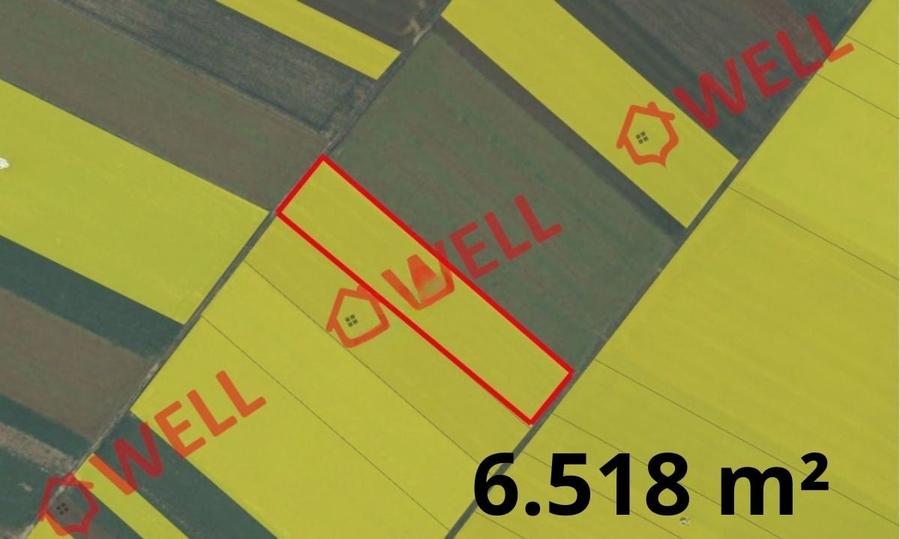 9 terenuri agricole de vânzare pe teritoriul administrativ al comunei Chichiș! - 9