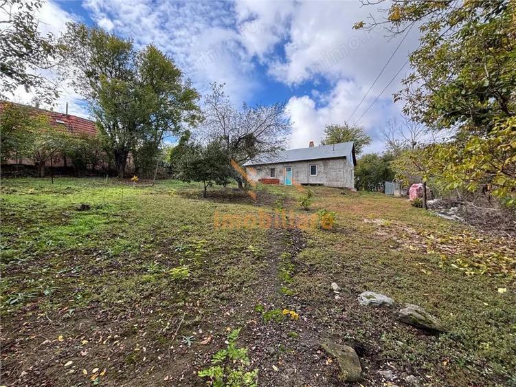Casă cu 2 camere cu Teren 4000 Mp în Dernișoara