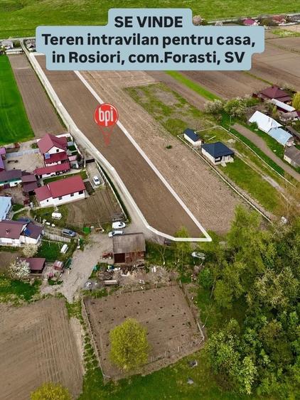 Teren Construcții intravilan de 6209 mp, în Roșiori