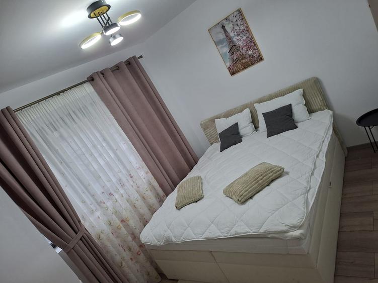 Apartament cu 2 camere nedecomandat în Teilor