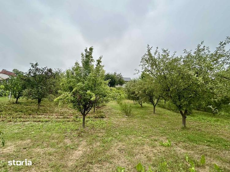 Casă cu 3 camere cu Teren 2200 Mp în Chicerea