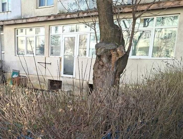 Spațiu comercial, de 54 mp, în Central