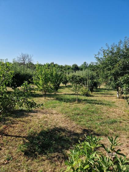 Casă cu 4 camere cu Teren 3473 Mp în Bucium