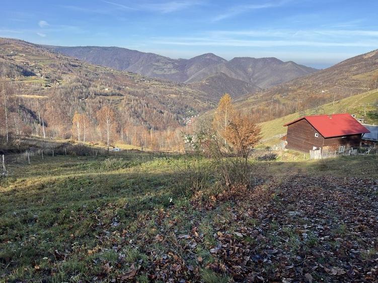 Teren de 5500 mp, în Muntele Rece