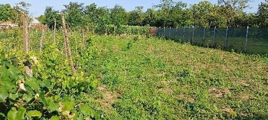 Casă cu 5 camere cu Teren 1800 Mp în Unirea