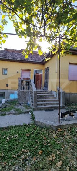 Casă individuală cu 4 camere cu Canalizare în Viișoara