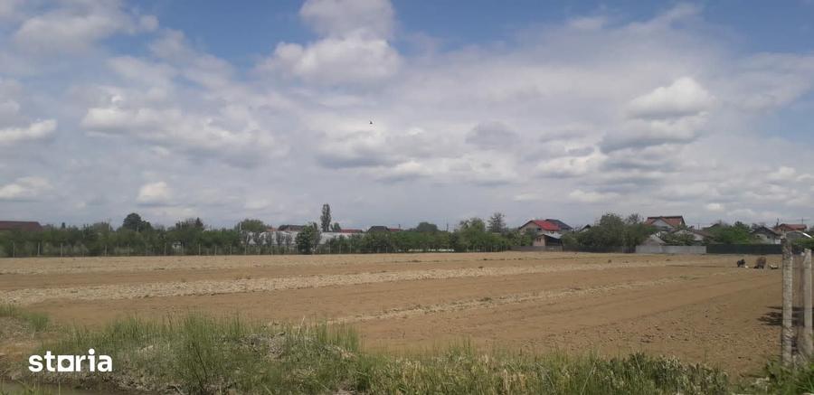 Teren de 11418 mp, în Mărăcineni