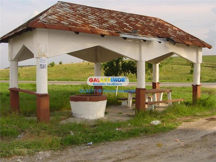 Teren extravilan de 32800 mp, în Ghimpați
