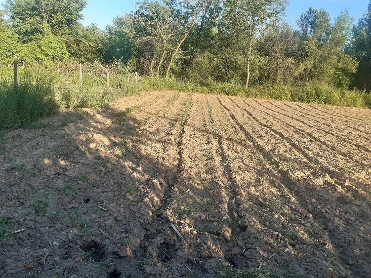 Casă cu 2 camere cu Teren 5 Mp în Zegujani