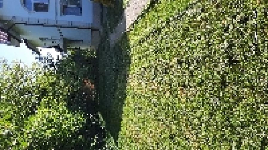 Casă cu 3 camere decomandat cu Teren 100 Mp în Central
