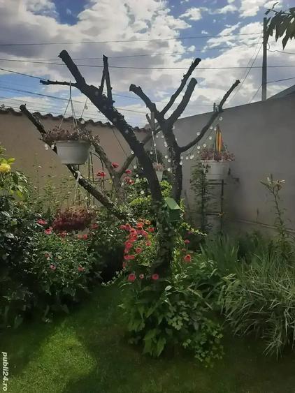 Casă cu Teren 300 Mp în Chiajna