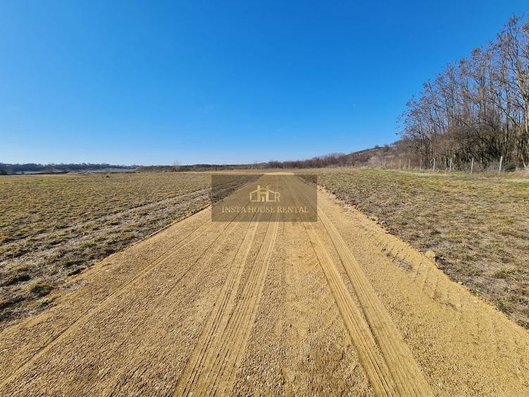 Teren Construcții intravilan de 49283 mp, în Vânătorii Mici