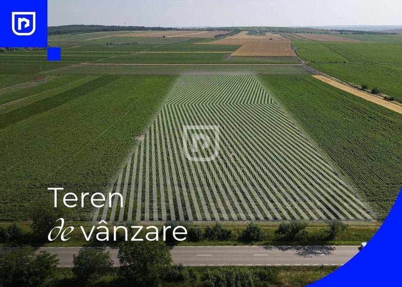 Teren agricol extravilan de 10000 mp, în Orășeni-Deal