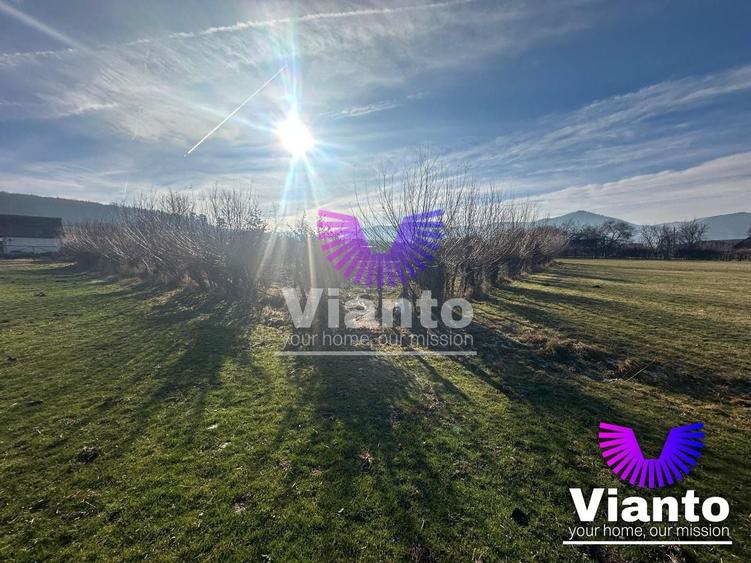 Teren Construcții intravilan de 500 mp, în Rășinari