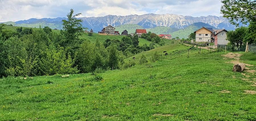 Teren Construcții extravilan de 2500 mp, în Peștera
